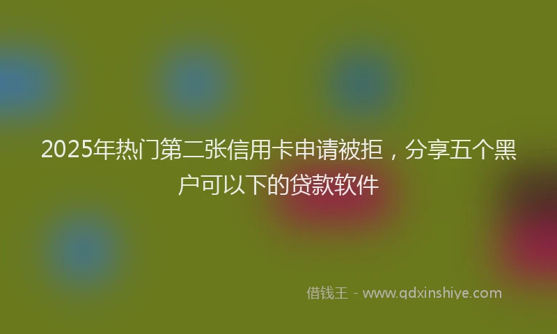 2025年热门第二张信用卡申请被拒，分享五个黑户可以下的贷款软件