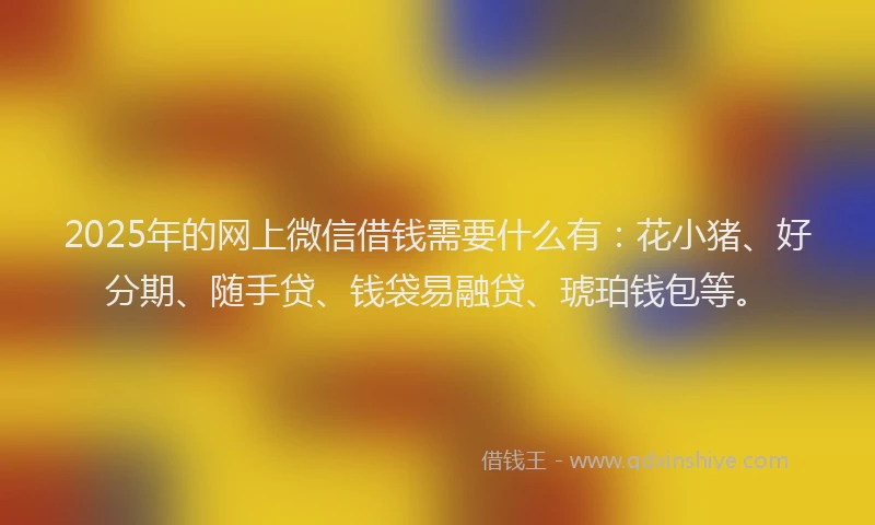 2025年的网上微信借钱需要什么有：花小猪、好分期、随手贷、钱袋易融贷、琥珀钱包等。