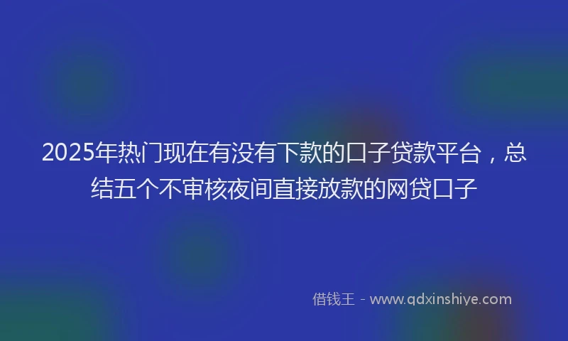 2025年热门现在有没有下款的口子贷款平台，总结五个不审核夜间直接放款的网贷口子
