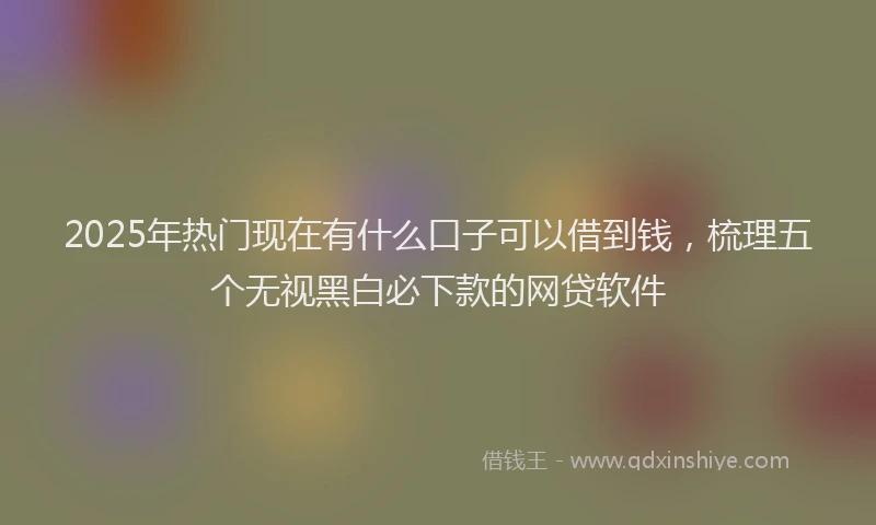 2025年热门现在有什么口子可以借到钱，梳理五个无视黑白必下款的网贷软件