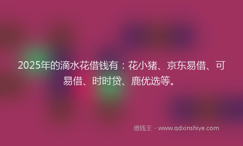 2025年的滴水花借钱有：花小猪、京东易借、可易借、时时贷、鹿优选等。