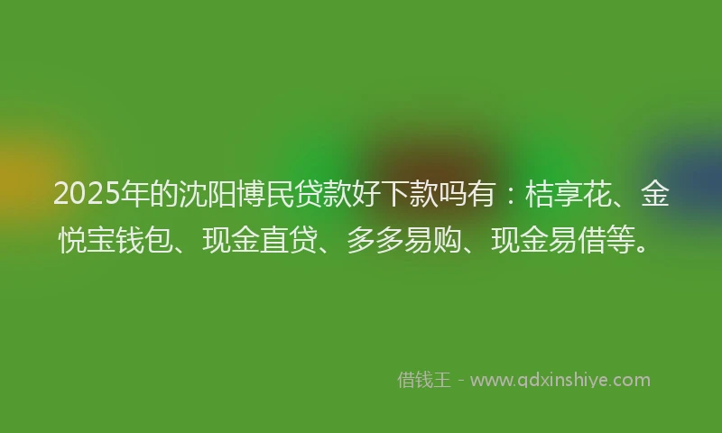 2025年的沈阳博民贷款好下款吗有：桔享花、金悦宝钱包、现金直贷、多多易购、现金易借等。