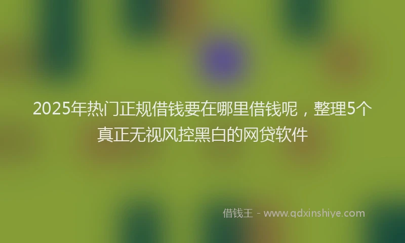 2025年热门正规借钱要在哪里借钱呢，整理5个真正无视风控黑白的网贷软件