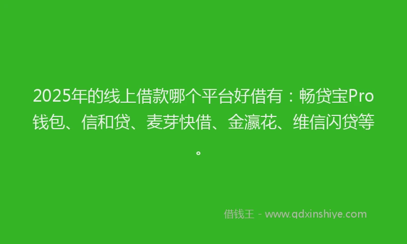 2025年的线上借款哪个平台好借有：畅贷宝Pro钱包、信和贷、麦芽快借、金瀛花、维信闪贷等。