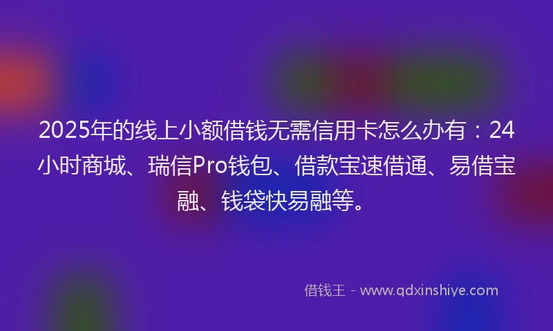 2025年的线上小额借钱无需信用卡怎么办有：24小时商城、瑞信Pro钱包、借款宝速借通、易借宝融、钱袋快易融等。