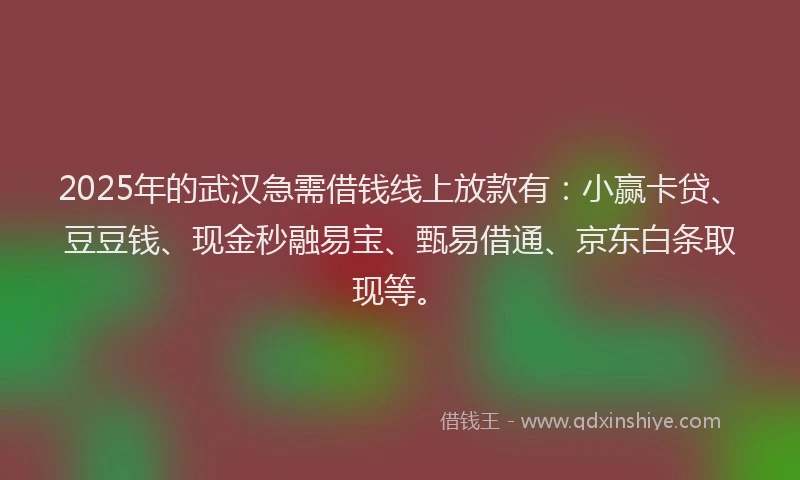2025年的武汉急需借钱线上放款有：小赢卡贷、豆豆钱、现金秒融易宝、甄易借通、京东白条取现等。