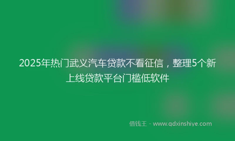 2025年热门武义汽车贷款不看征信，整理5个新上线贷款平台门槛低软件