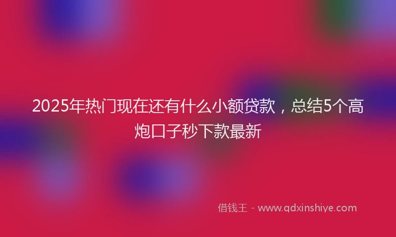 2025年热门现在还有什么小额贷款，总结5个高炮口子秒下款最新