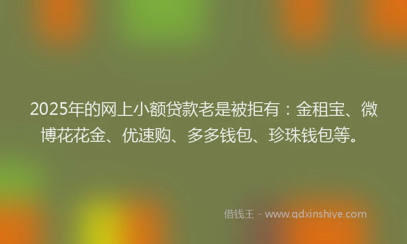 2025年的网上小额贷款老是被拒有：金租宝、微博花花金、优速购、多多钱包、珍珠钱包等。