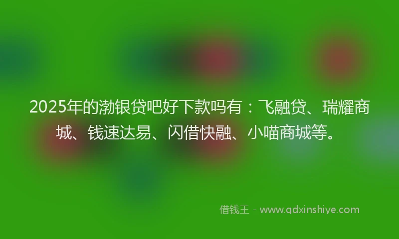 2025年的渤银贷吧好下款吗有：飞融贷、瑞耀商城、钱速达易、闪借快融、小喵商城等。