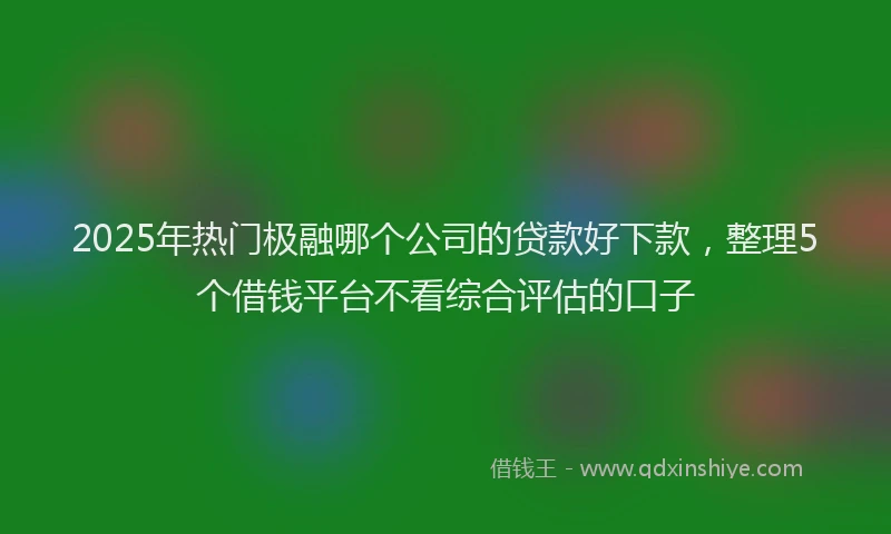 2025年热门极融哪个公司的贷款好下款，整理5个借钱平台不看综合评估的口子