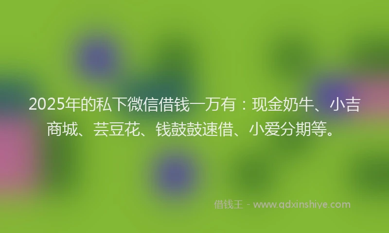 2025年的私下微信借钱一万有：现金奶牛、小吉商城、芸豆花、钱鼓鼓速借、小爱分期等。