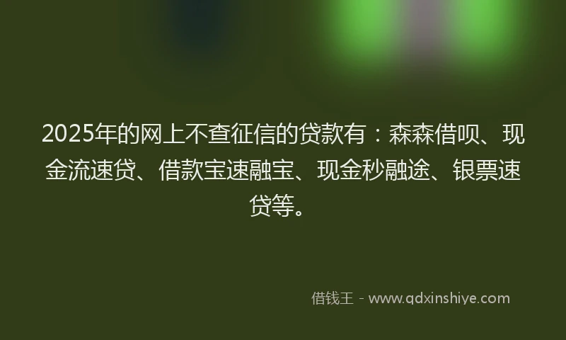 2025年的网上不查征信的贷款有：森森借呗、现金流速贷、借款宝速融宝、现金秒融途、银票速贷等。