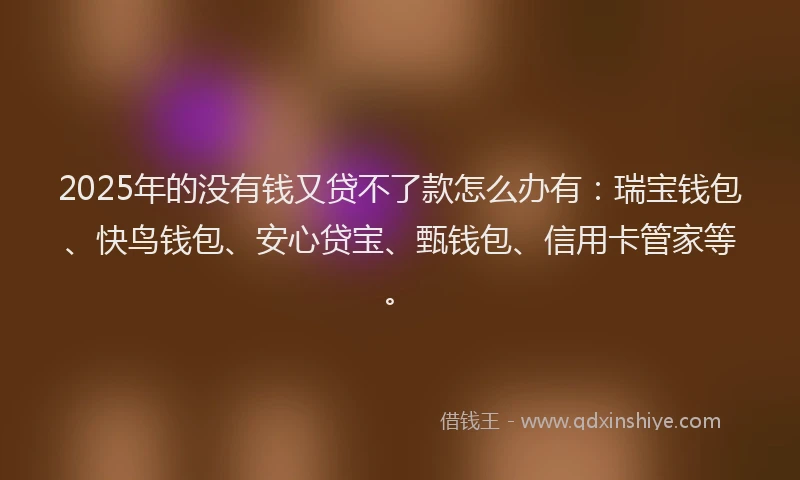 2025年的没有钱又贷不了款怎么办有：瑞宝钱包、快鸟钱包、安心贷宝、甄钱包、信用卡管家等。