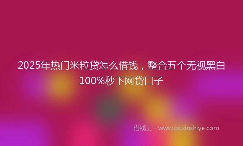 2025年热门米粒贷怎么借钱，整合五个无视黑白100%秒下网贷口子