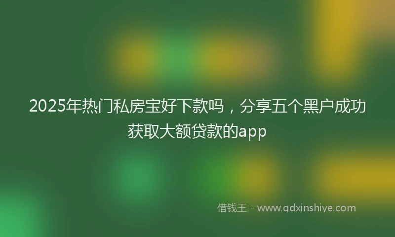 2025年热门私房宝好下款吗，分享五个黑户成功获取大额贷款的app