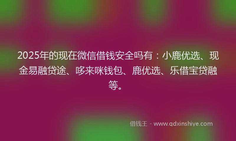 2025年的现在微信借钱安全吗有：小鹿优选、现金易融贷途、哆来咪钱包、鹿优选、乐借宝贷融等。