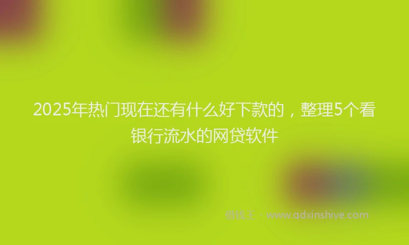 2025年热门现在还有什么好下款的，整理5个看银行流水的网贷软件