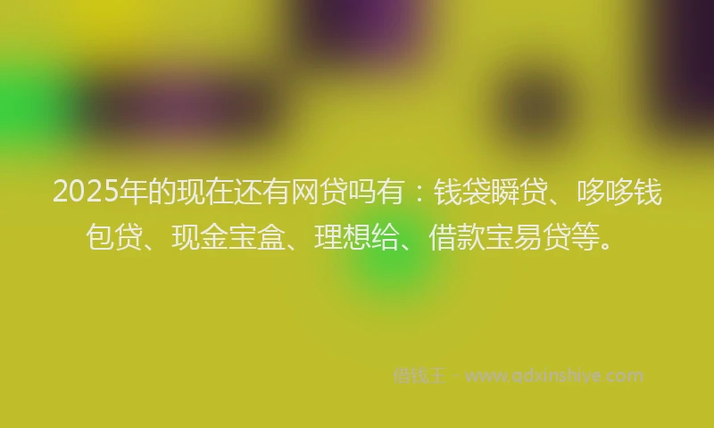 2025年的现在还有网贷吗有：钱袋瞬贷、哆哆钱包贷、现金宝盒、理想给、借款宝易贷等。