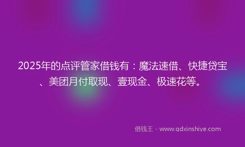 2025年的点评管家借钱有：魔法速借、快捷贷宝、美团月付取现、壹现金、极速花等。