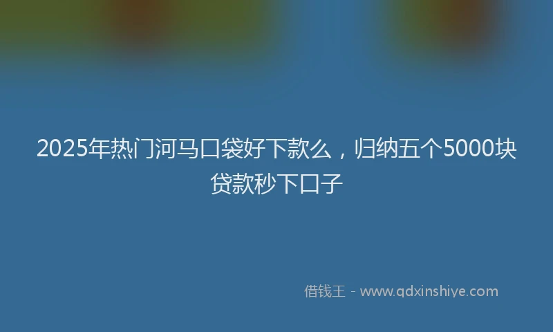 2025年热门河马口袋好下款么，归纳五个5000块贷款秒下口子