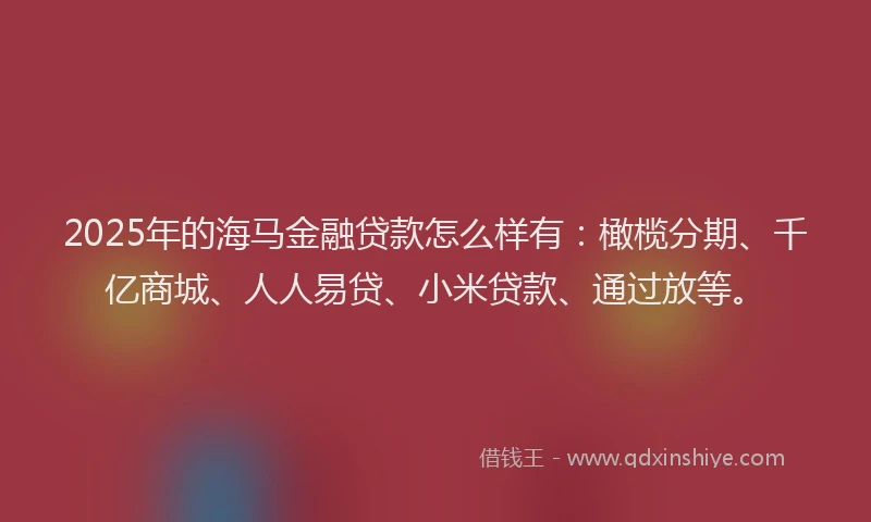 2025年的海马金融贷款怎么样有：橄榄分期、千亿商城、人人易贷、小米贷款、通过放等。