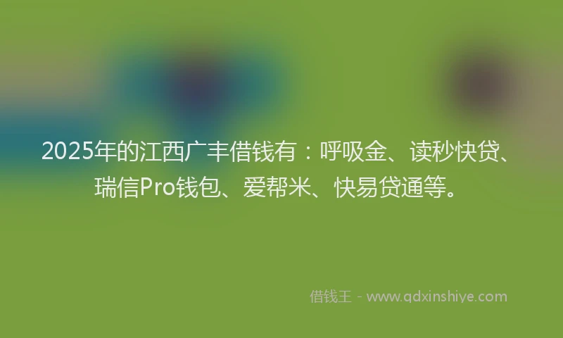 2025年的江西广丰借钱有：呼吸金、读秒快贷、瑞信Pro钱包、爱帮米、快易贷通等。