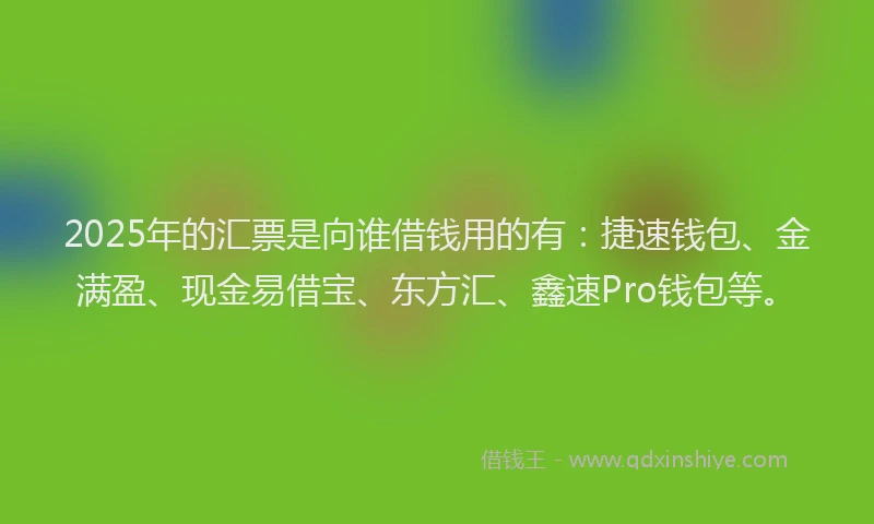 2025年的汇票是向谁借钱用的有：捷速钱包、金满盈、现金易借宝、东方汇、鑫速Pro钱包等。
