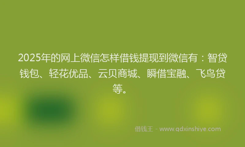 2025年的网上微信怎样借钱提现到微信有：智贷钱包、轻花优品、云贝商城、瞬借宝融、飞鸟贷等。