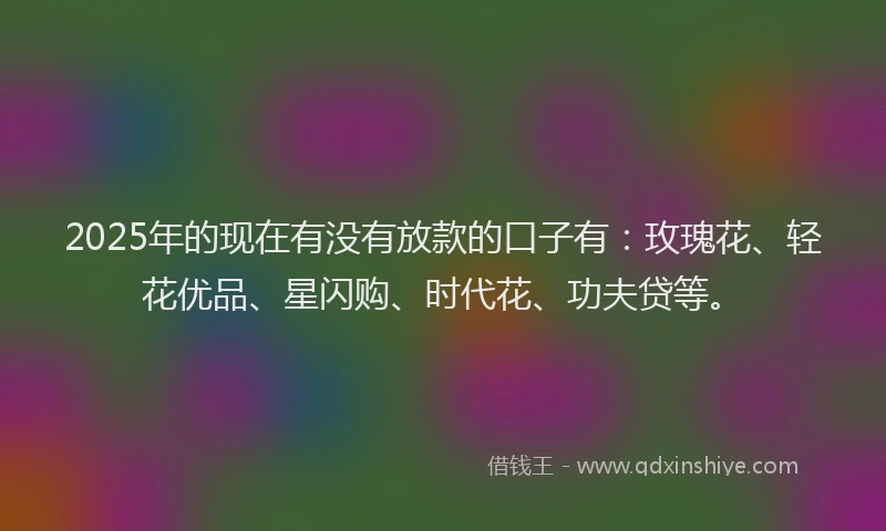 2025年的现在有没有放款的口子有：玫瑰花、轻花优品、星闪购、时代花、功夫贷等。