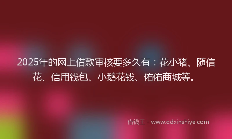2025年的网上借款审核要多久有：花小猪、随信花、信用钱包、小鹅花钱、佑佑商城等。
