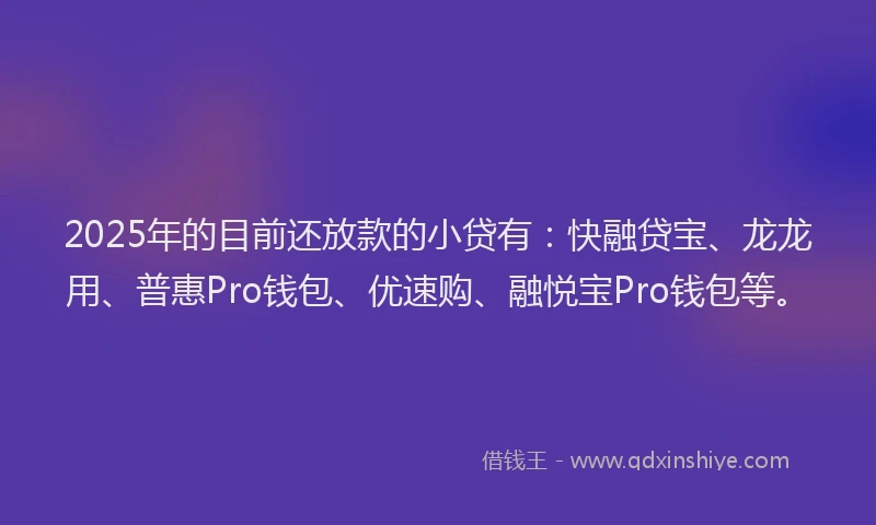 2025年的目前还放款的小贷有：快融贷宝、龙龙用、普惠Pro钱包、优速购、融悦宝Pro钱包等。