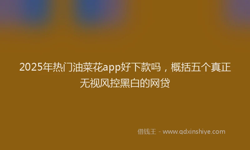 2025年热门油菜花app好下款吗，概括五个真正无视风控黑白的网贷