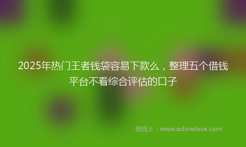 2025年热门王者钱袋容易下款么，整理五个借钱平台不看综合评估的口子