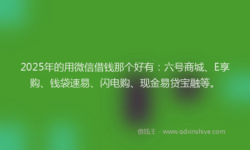 2025年的用微信借钱那个好有：六号商城、E享购、钱袋速易、闪电购、现金易贷宝融等。