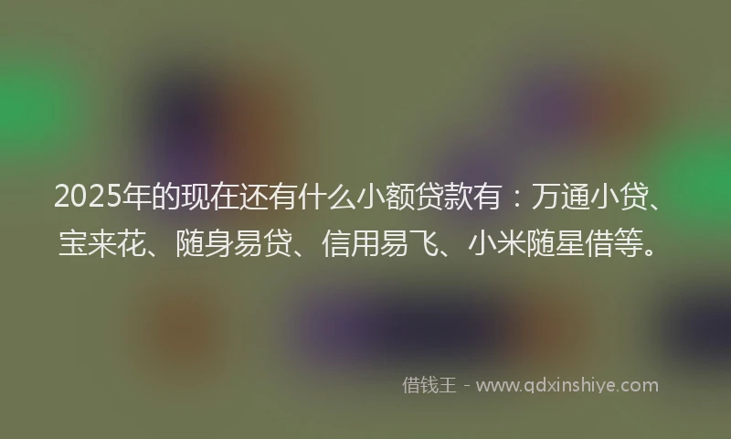 2025年的现在还有什么小额贷款有：万通小贷、宝来花、随身易贷、信用易飞、小米随星借等。