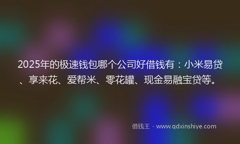 2025年的极速钱包哪个公司好借钱有：小米易贷、享来花、爱帮米、零花罐、现金易融宝贷等。