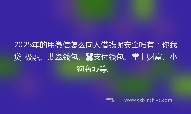 2025年的用微信怎么向人借钱呢安全吗有：你我贷-极融、翡翠钱包、翼支付钱包、掌上财富、小狗商城等。
