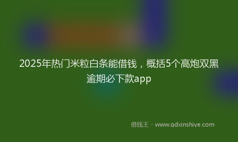 2025年热门米粒白条能借钱，概括5个高炮双黑逾期必下款app