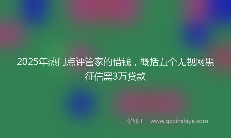 2025年热门点评管家的借钱，概括五个无视网黑征信黑3万贷款