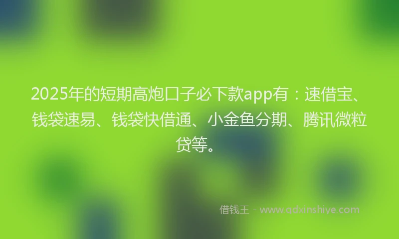 2025年的短期高炮口子必下款app有：速借宝、钱袋速易、钱袋快借通、小金鱼分期、腾讯微粒贷等。