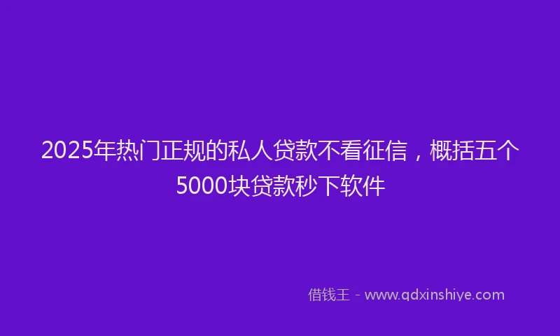 2025年热门正规的私人贷款不看征信，概括五个5000块贷款秒下软件