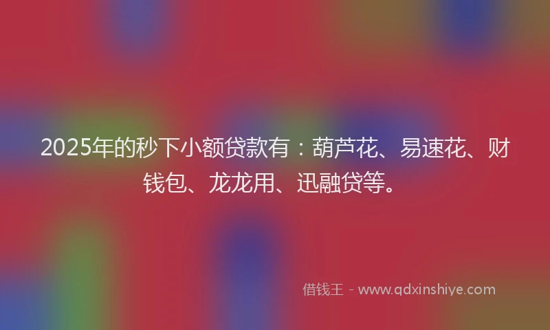 2025年的秒下小额贷款有：葫芦花、易速花、财钱包、龙龙用、迅融贷等。