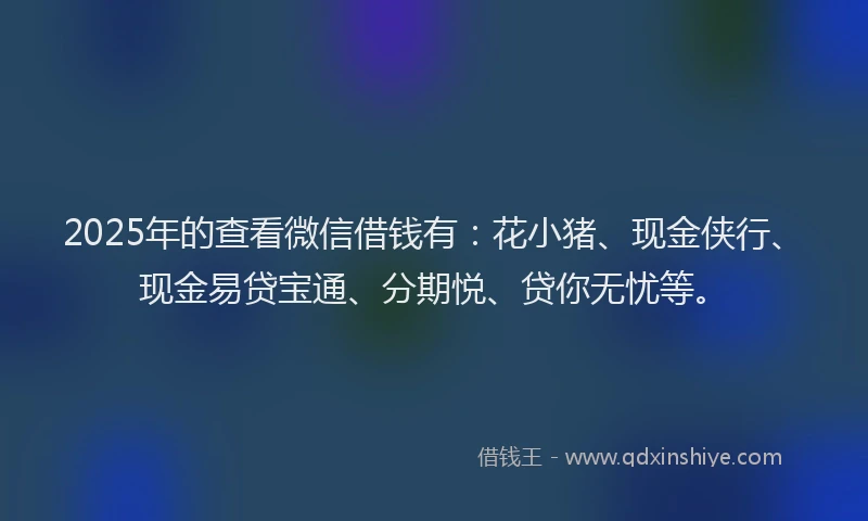 2025年的查看微信借钱有：花小猪、现金侠行、现金易贷宝通、分期悦、贷你无忧等。