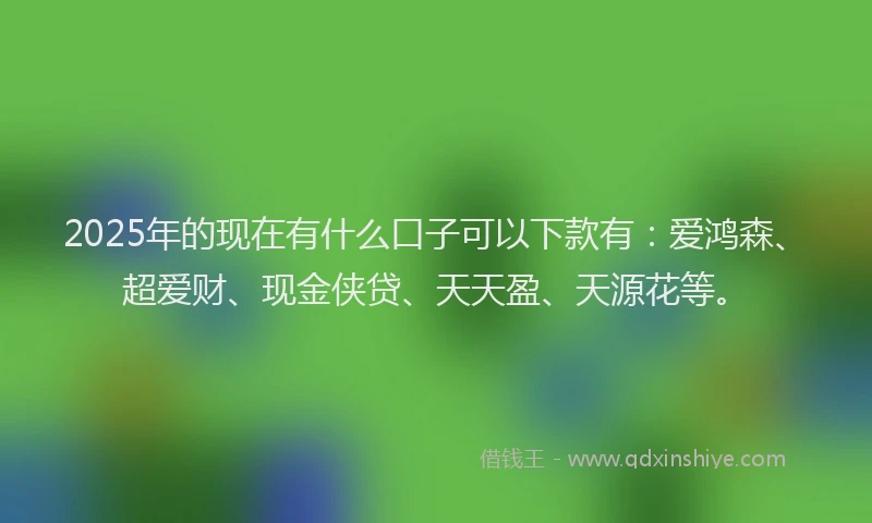 2025年的现在有什么口子可以下款有：爱鸿森、超爱财、现金侠贷、天天盈、天源花等。
