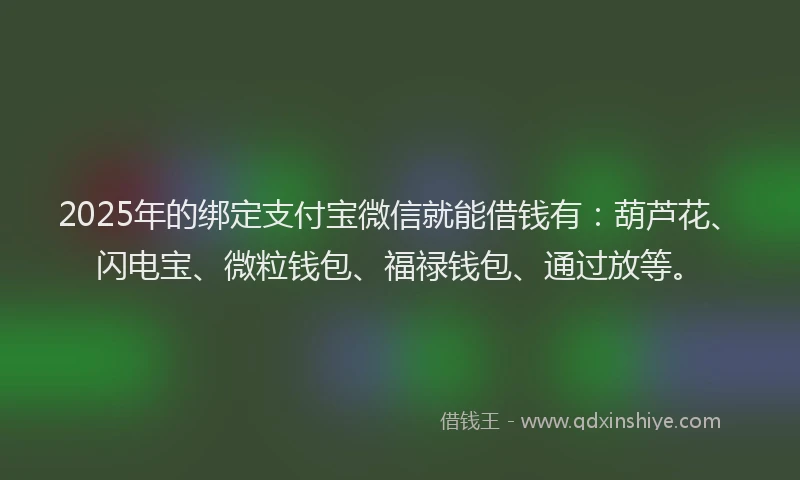 2025年的绑定支付宝微信就能借钱有：葫芦花、闪电宝、微粒钱包、福禄钱包、通过放等。