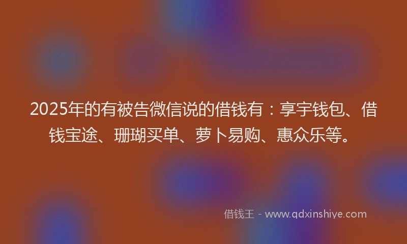 2025年的有被告微信说的借钱有：享宇钱包、借钱宝途、珊瑚买单、萝卜易购、惠众乐等。