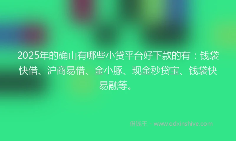 2025年的确山有哪些小贷平台好下款的有：钱袋快借、沪商易借、金小豚、现金秒贷宝、钱袋快易融等。