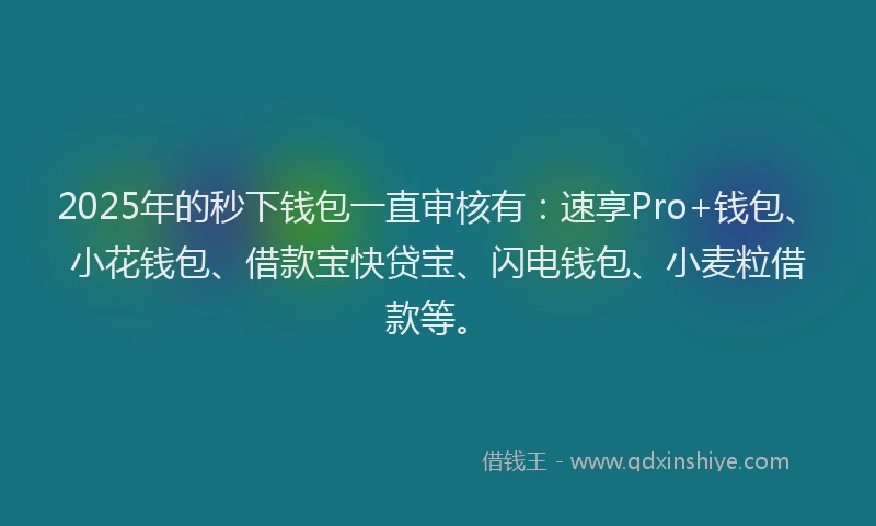 2025年的秒下钱包一直审核有：速享Pro+钱包、小花钱包、借款宝快贷宝、闪电钱包、小麦粒借款等。