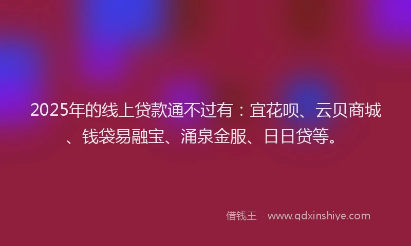 2025年的线上贷款通不过有：宜花呗、云贝商城、钱袋易融宝、涌泉金服、日日贷等。